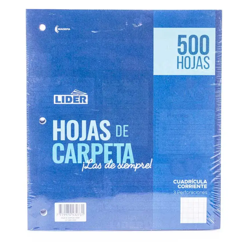 hojas-de-carpeta-cuadro-normal-lider-500h-431.webp