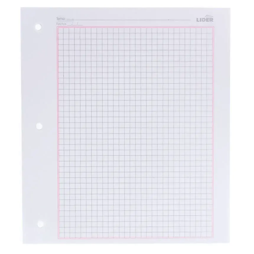 hojas-de-carpeta-cuadro-normal-lider-500h-430.webp