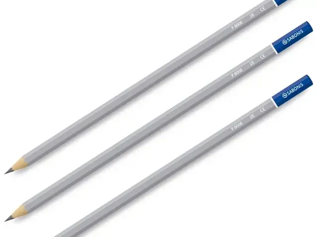 lapiz-carbonico-sabonis-de-12u-177.webp