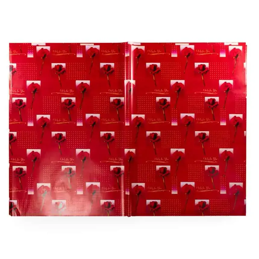 papel-regalo-plastico-grande-70x100cm-166.webp