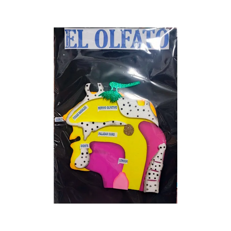 Maqueta Plana 2D