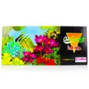 Pinturas al oleo Caiwen 12u